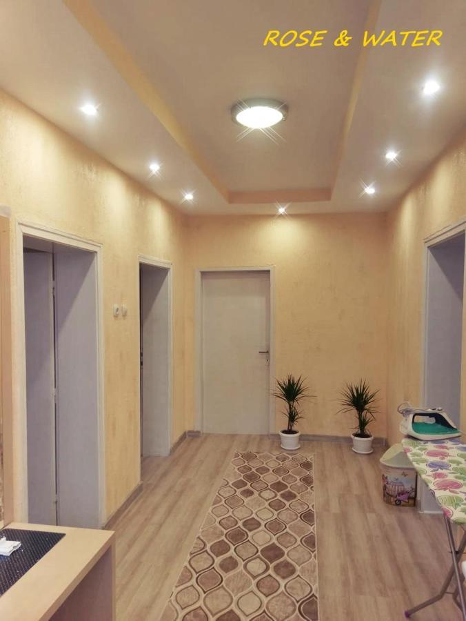 Rose & Water Guest House Pavel Banya Luaran gambar