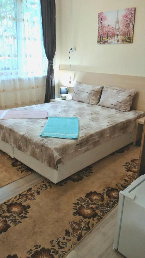 Rose & Water Guest House Pavel Banya Luaran gambar