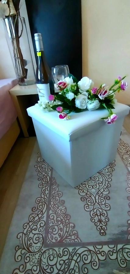 Rose & Water Guest House Pavel Banya Luaran gambar